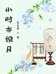 小时不识月小说好看吗